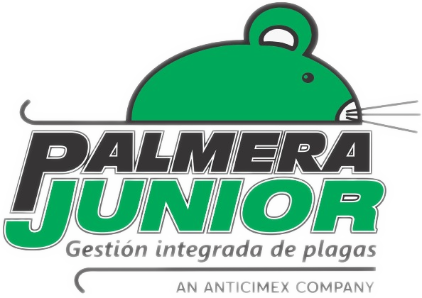 branding logo